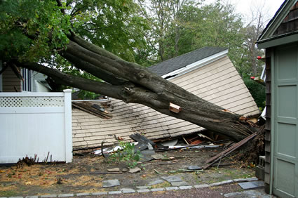 Property Insurance Adjuster Services (pictured: storm damage)